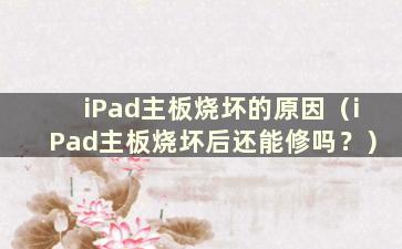 iPad主板烧坏的原因（iPad主板烧坏后还能修吗？）