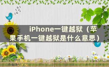 iPhone一键越狱（苹果手机一键越狱是什么意思）