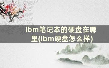 ibm笔记本的硬盘在哪里(ibm硬盘怎么样)