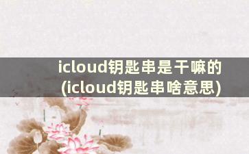 icloud钥匙串是干嘛的(icloud钥匙串啥意思)