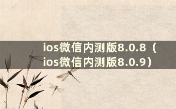 ios微信内测版8.0.8（ios微信内测版8.0.9）