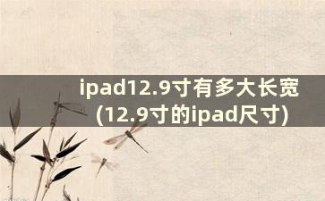 ipad12.9寸有多大长宽(12.9寸的ipad尺寸)