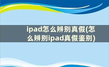 ipad怎么辨别真假(怎么辨别ipad真假鉴别)