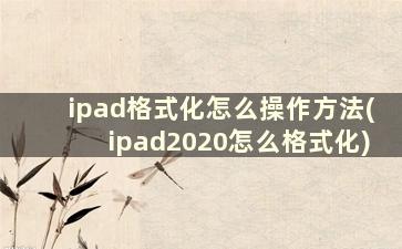 ipad格式化怎么操作方法(ipad2020怎么格式化)