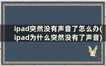 ipad突然没有声音了怎么办(ipad为什么突然没有了声音)