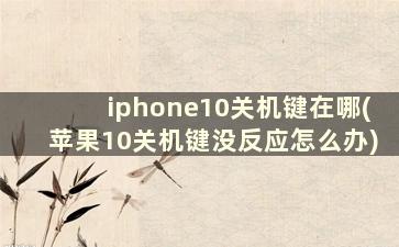 iphone10关机键在哪(苹果10关机键没反应怎么办)