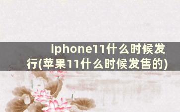 iphone11什么时候发行(苹果11什么时候发售的)