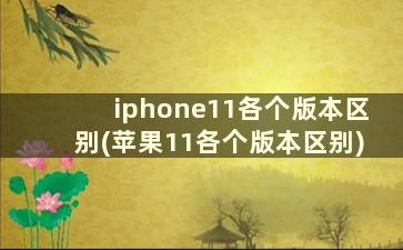 iphone11各个版本区别(苹果11各个版本区别)