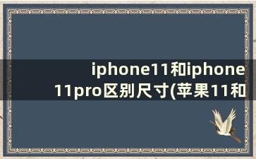 iphone11和iphone11pro区别尺寸(苹果11和苹果11pro尺寸上有什么区别)