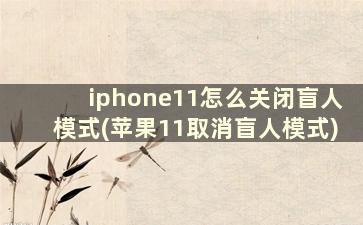 iphone11怎么关闭盲人模式(苹果11取消盲人模式)