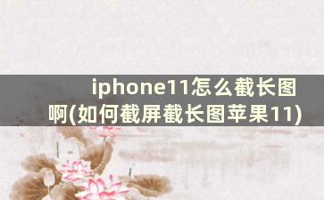 iphone11怎么截长图啊(如何截屏截长图苹果11)