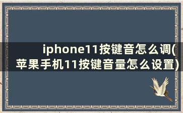 iphone11按键音怎么调(苹果手机11按键音量怎么设置)