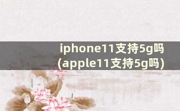 iphone11支持5g吗(apple11支持5g吗)