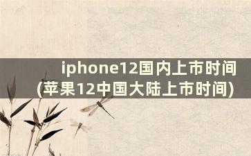 iphone12国内上市时间(苹果12中国大陆上市时间)