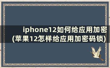 iphone12如何给应用加密(苹果12怎样给应用加密码锁)