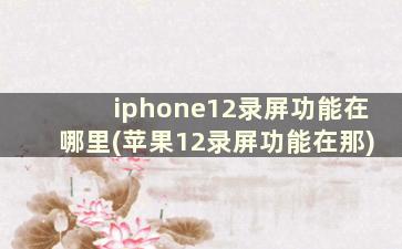 iphone12录屏功能在哪里(苹果12录屏功能在那)