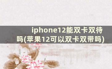 iphone12能双卡双待吗(苹果12可以双卡双带吗)