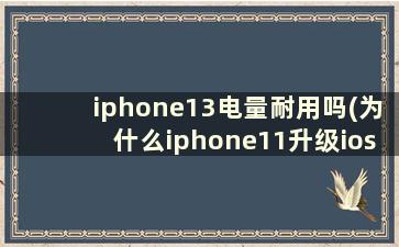 iphone13电量耐用吗(为什么iphone11升级ios14以后用电好快了)