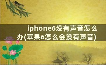 iphone6没有声音怎么办(苹果6怎么会没有声音)