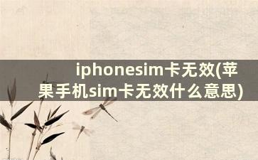 iphonesim卡无效(苹果手机sim卡无效什么意思)