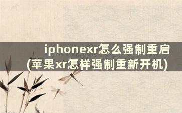 iphonexr怎么强制重启(苹果xr怎样强制重新开机)