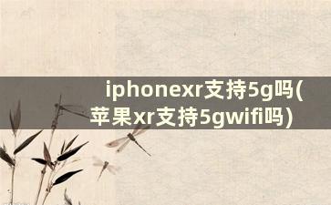 iphonexr支持5g吗(苹果xr支持5gwifi吗)