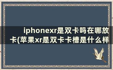 iphonexr是双卡吗在哪放卡(苹果xr是双卡卡槽是什么样的)