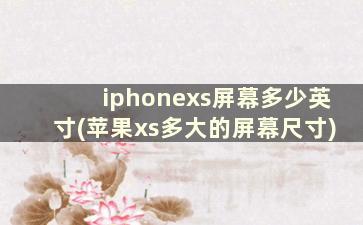 iphonexs屏幕多少英寸(苹果xs多大的屏幕尺寸)