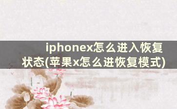 iphonex怎么进入恢复状态(苹果x怎么进恢复模式)