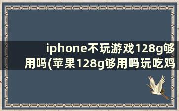 iphone不玩游戏128g够用吗(苹果128g够用吗玩吃鸡和王者)