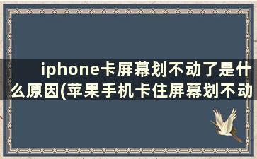 iphone卡屏幕划不动了是什么原因(苹果手机卡住屏幕划不动)