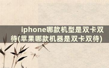 iphone哪款机型是双卡双待(苹果哪款机器是双卡双待)