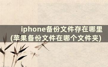 iphone备份文件存在哪里(苹果备份文件在哪个文件夹)