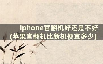 iphone官翻机好还是不好(苹果官翻机比新机便宜多少)