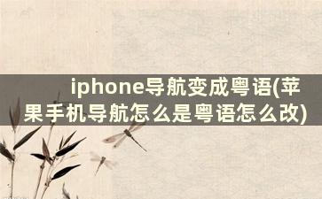 iphone导航变成粤语(苹果手机导航怎么是粤语怎么改)