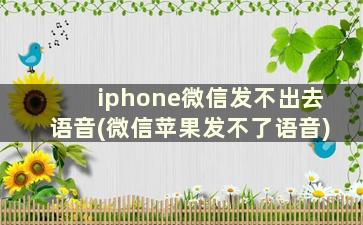 iphone微信发不出去语音(微信苹果发不了语音)