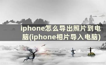 iphone怎么导出照片到电脑(iphone相片导入电脑)