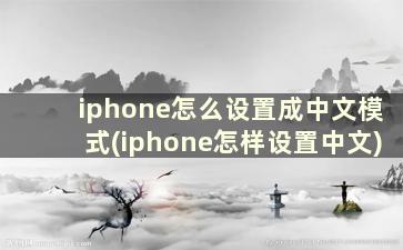 iphone怎么设置成中文模式(iphone怎样设置中文)