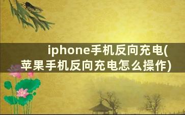 iphone手机反向充电(苹果手机反向充电怎么操作)