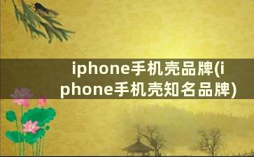 iphone手机壳品牌(iphone手机壳知名品牌)