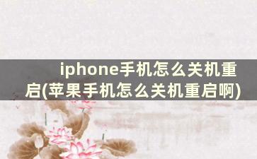 iphone手机怎么关机重启(苹果手机怎么关机重启啊)