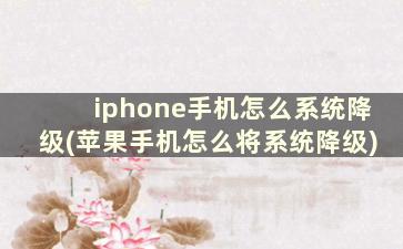 iphone手机怎么系统降级(苹果手机怎么将系统降级)