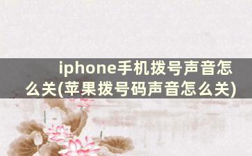 iphone手机拨号声音怎么关(苹果拨号码声音怎么关)