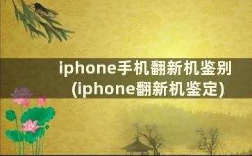 iphone手机翻新机鉴别(iphone翻新机鉴定)