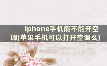 iphone手机能不能开空调(苹果手机可以打开空调么)