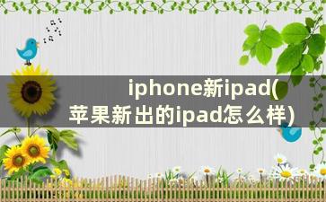 iphone新ipad(苹果新出的ipad怎么样)