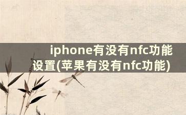 iphone有没有nfc功能设置(苹果有没有nfc功能)