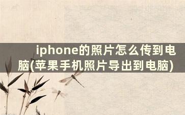 iphone的照片怎么传到电脑(苹果手机照片导出到电脑)