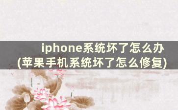 iphone系统坏了怎么办(苹果手机系统坏了怎么修复)