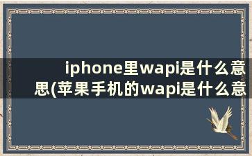 iphone里wapi是什么意思(苹果手机的wapi是什么意思)